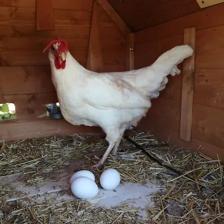 Franchino Vakantiehuis Ostuni